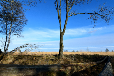 Botel Drenthe